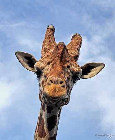 Hi There