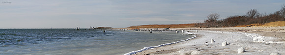 Brooklyn Tundra