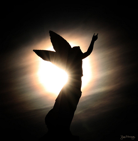 The Rapture